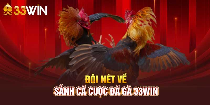 Đá Gà 33win - Sảnh cá cược đá gà hàng đầu tại Việt Nam