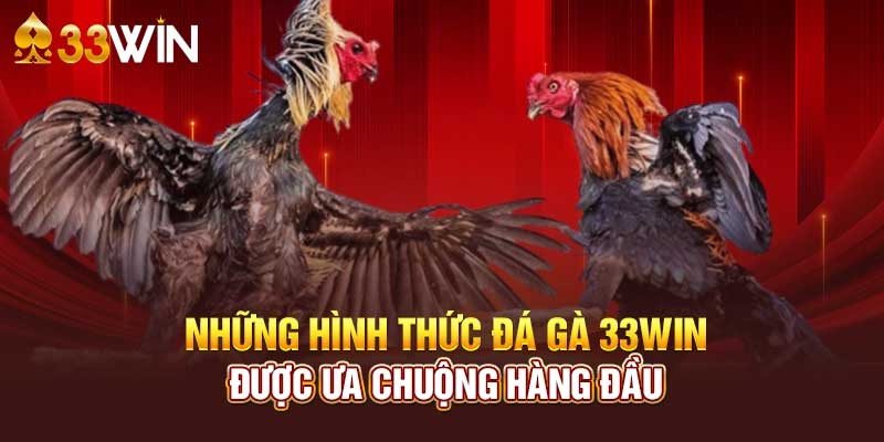 Đá Gà 33win - Sảnh cá cược đá gà hàng đầu tại Việt Nam