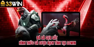 Đá Gà Cựa Sắt - Hình Thức Cá Cược Kịch Tính Tại 33WIN
