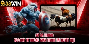 Đá Gà Thomo - Sức Hút Từ Những Màn Tranh Tài Quyết Liệt