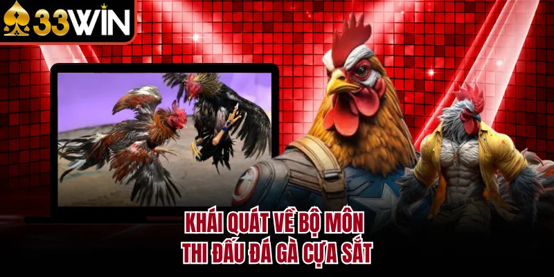Khái quát về bộ môn thi đấu đá gà cựa sắt