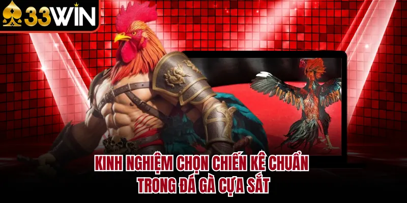 Kinh nghiệm chọn chiến kê chuẩn trong đá gà cựa sắt