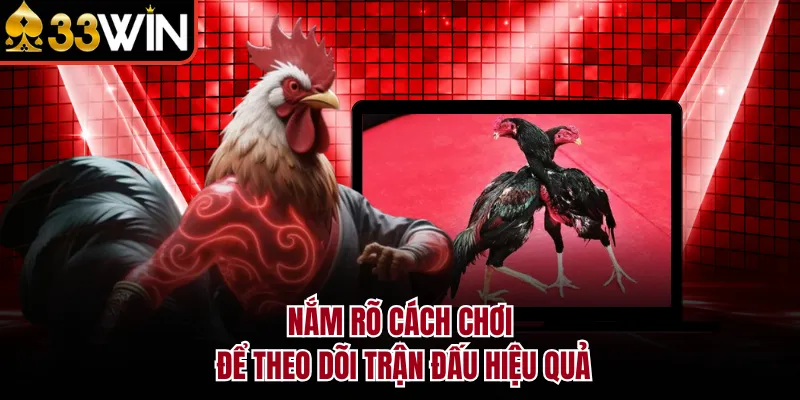 Nắm rõ cách chơi để theo dõi trận đấu hiệu quả