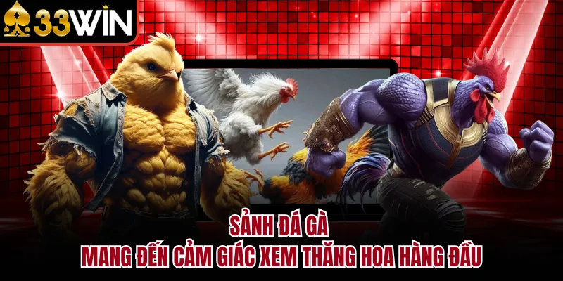 Sảnh đá gà mang đến cảm giác xem thăng hoa hàng đầu