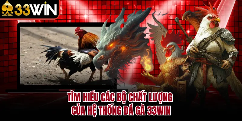 Tìm hiểu các bộ chất lượng của hệ thống đá gà 33WIN